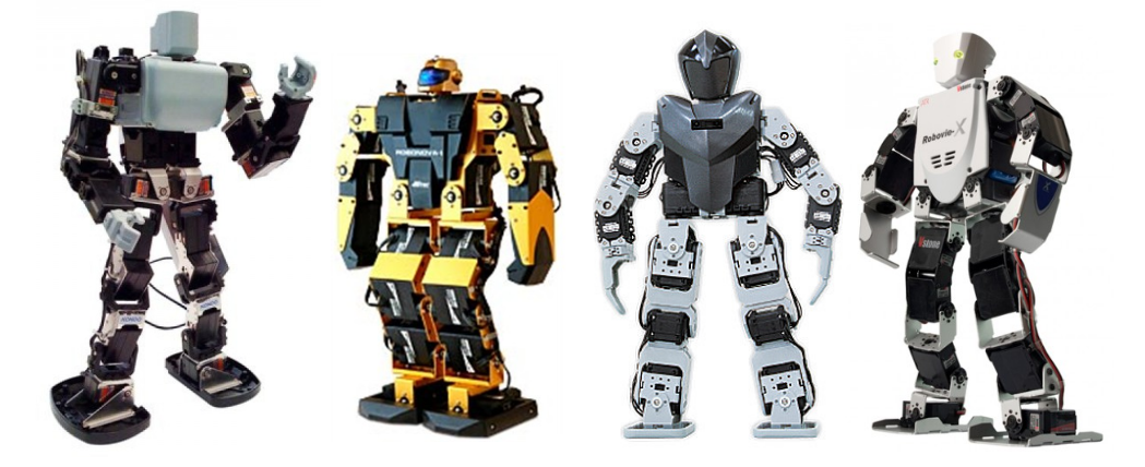 Commercial humanoids