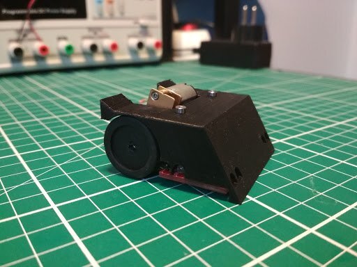 Micropanda